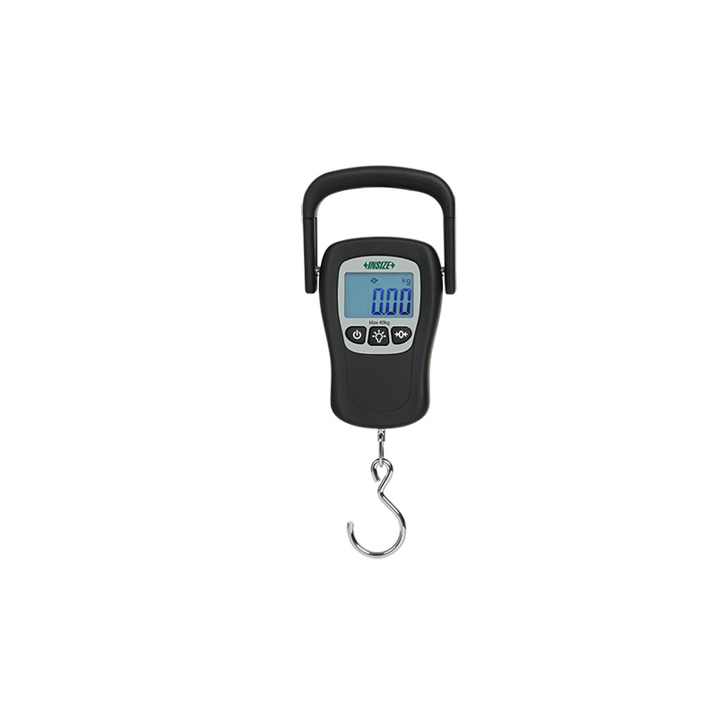 Portable Crane Scale